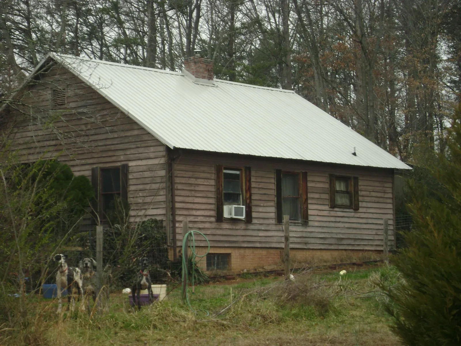 White metal roof on an old wood sided farmhouse, from a Metal Roof Installation job in Ovando